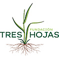 Fundaci�n Tres Hojas